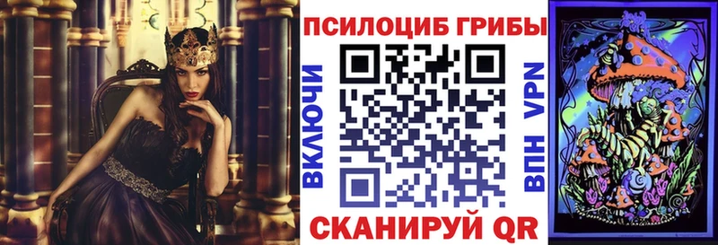 как найти   Ленинградская  Галлюциногенные грибы Magic Shrooms 